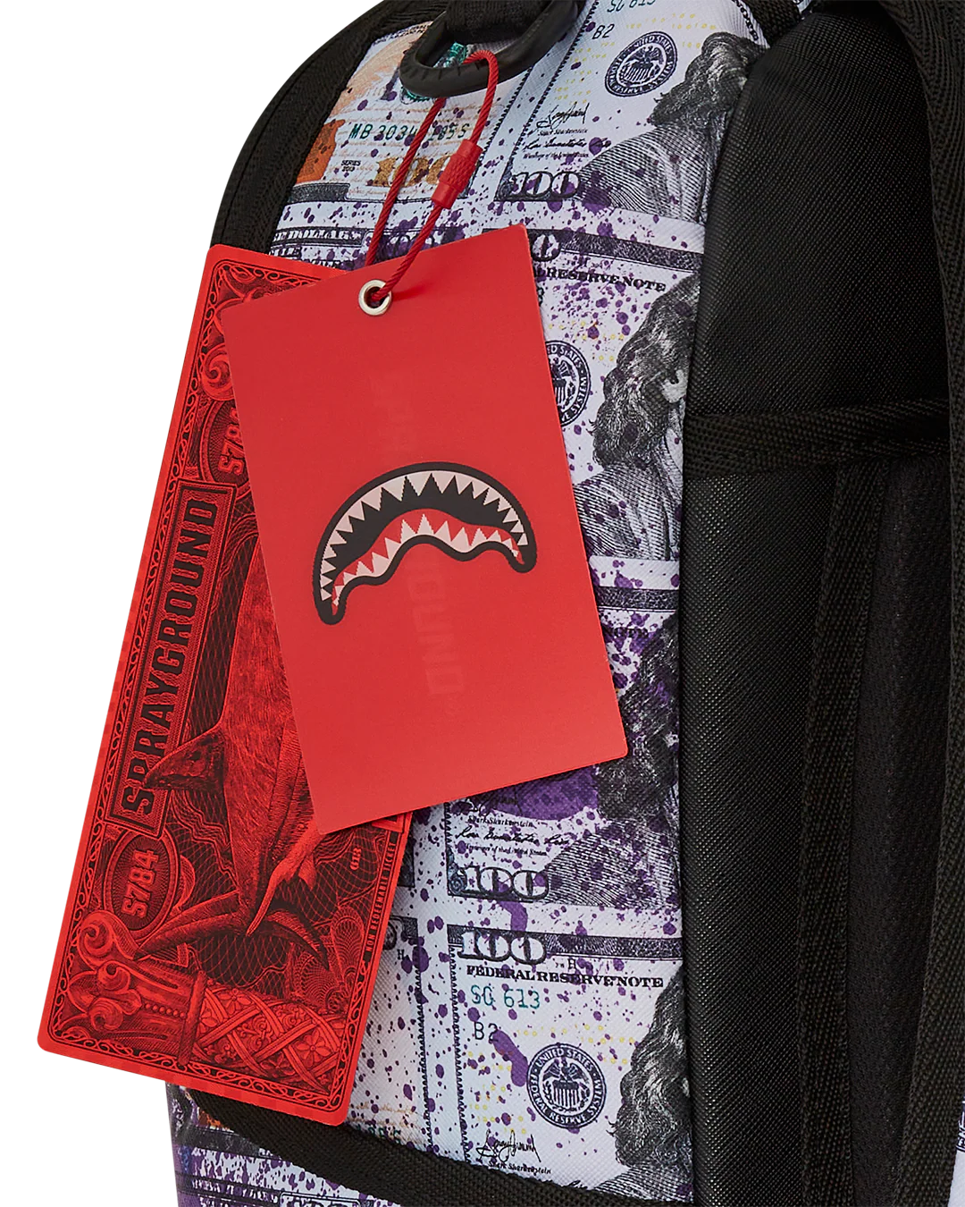 BILLIONS IN THE BANK BACKPACK - Image 15