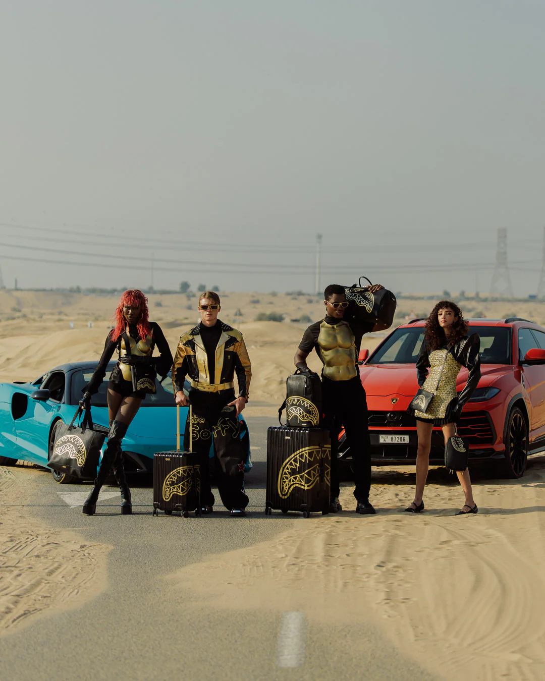 GOLD FANG FULL-SIZE LUGGAGE - Image 12