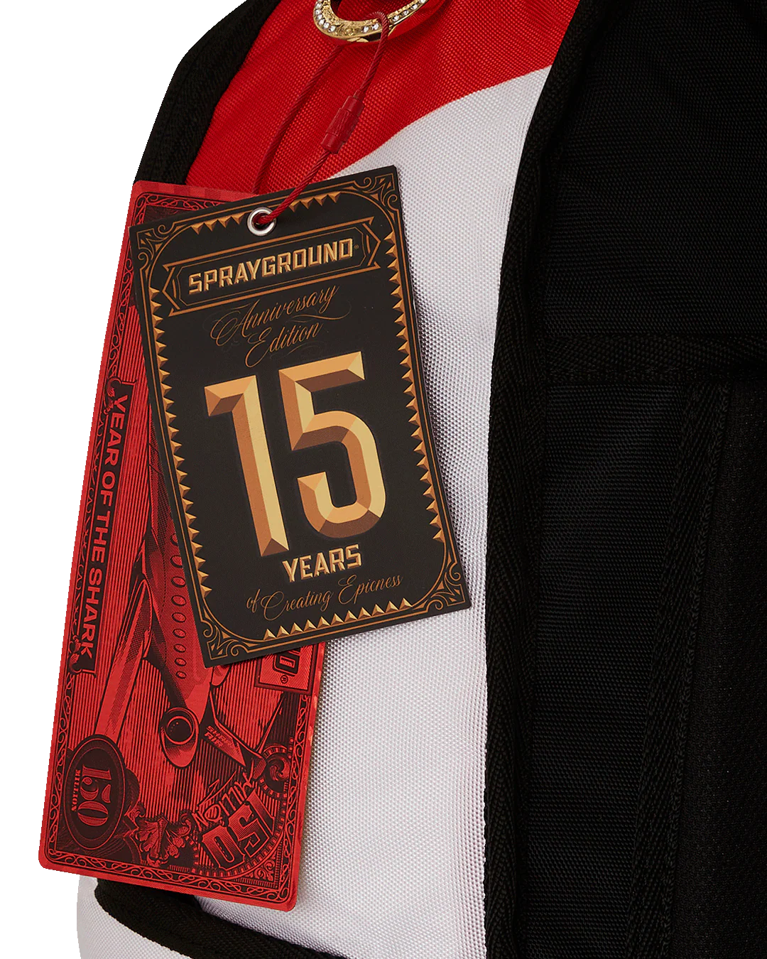 THE SCROLL OF 15 YEARS DLXV BACKPACK (SUPER RARE) - Image 26